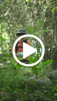 BIB:  <button type="button" onclick="openModal(27940354)" class="btn btn-primary btn-sm float-right" data-toggle="modal" data-target=".modal-high-quality">
                <i class="fa fa-download"></i> Download
                </button>